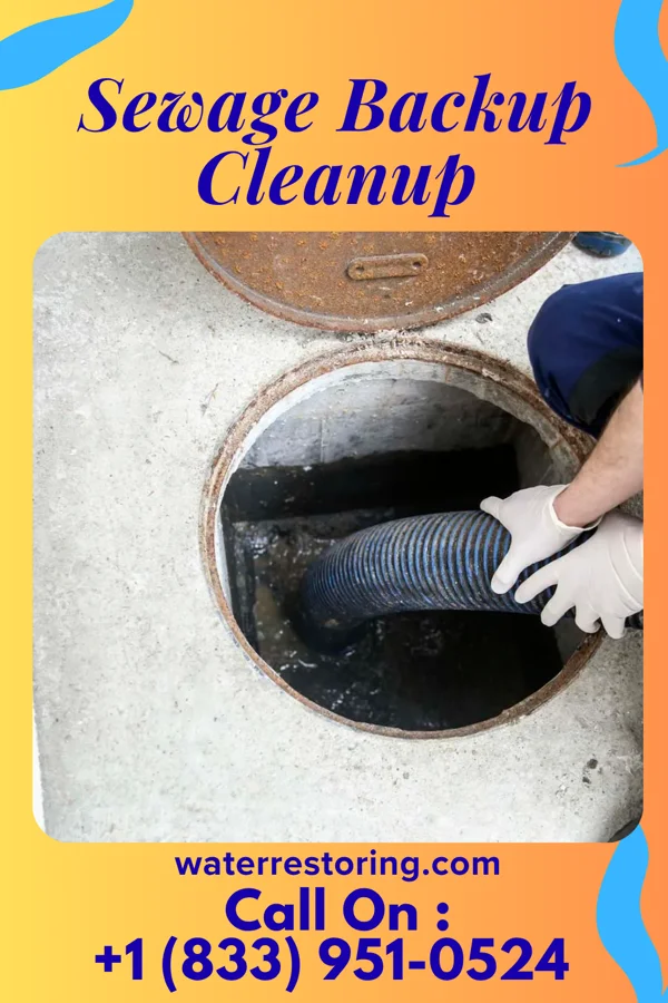 Sewage Backup Cleanup in Golden Grove, SC