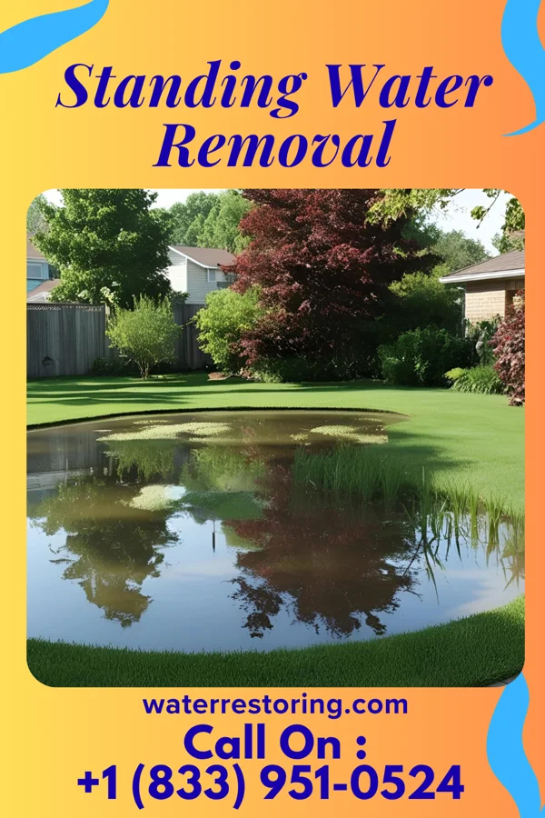 Standing Water Removal in Golden Grove, SC